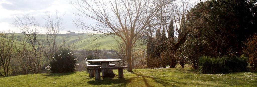 Agriturismo Castello Saltemnano 博恩孔文托 外观 照片