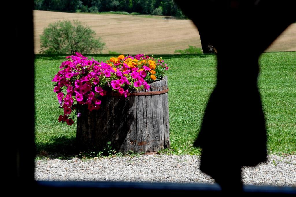Agriturismo Castello Saltemnano 博恩孔文托 客房 照片