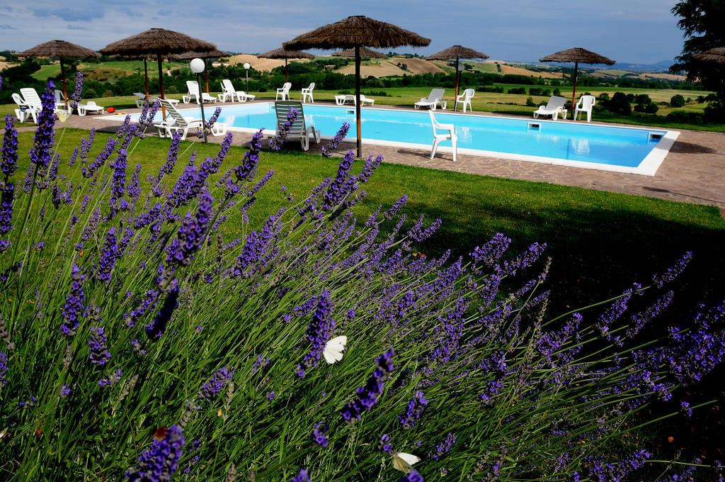 Agriturismo Castello Saltemnano 博恩孔文托 外观 照片