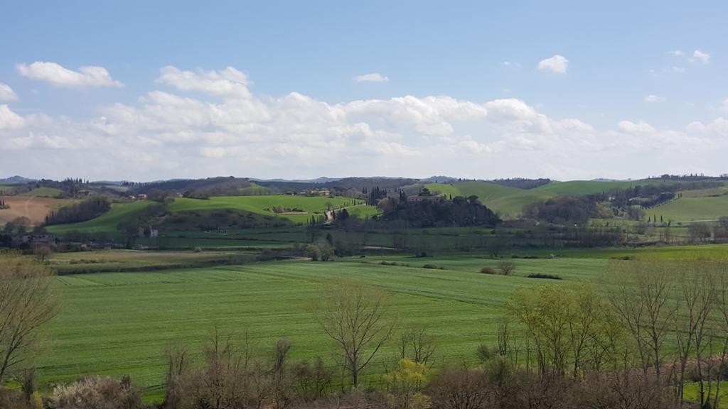 Agriturismo Castello Saltemnano 博恩孔文托 外观 照片