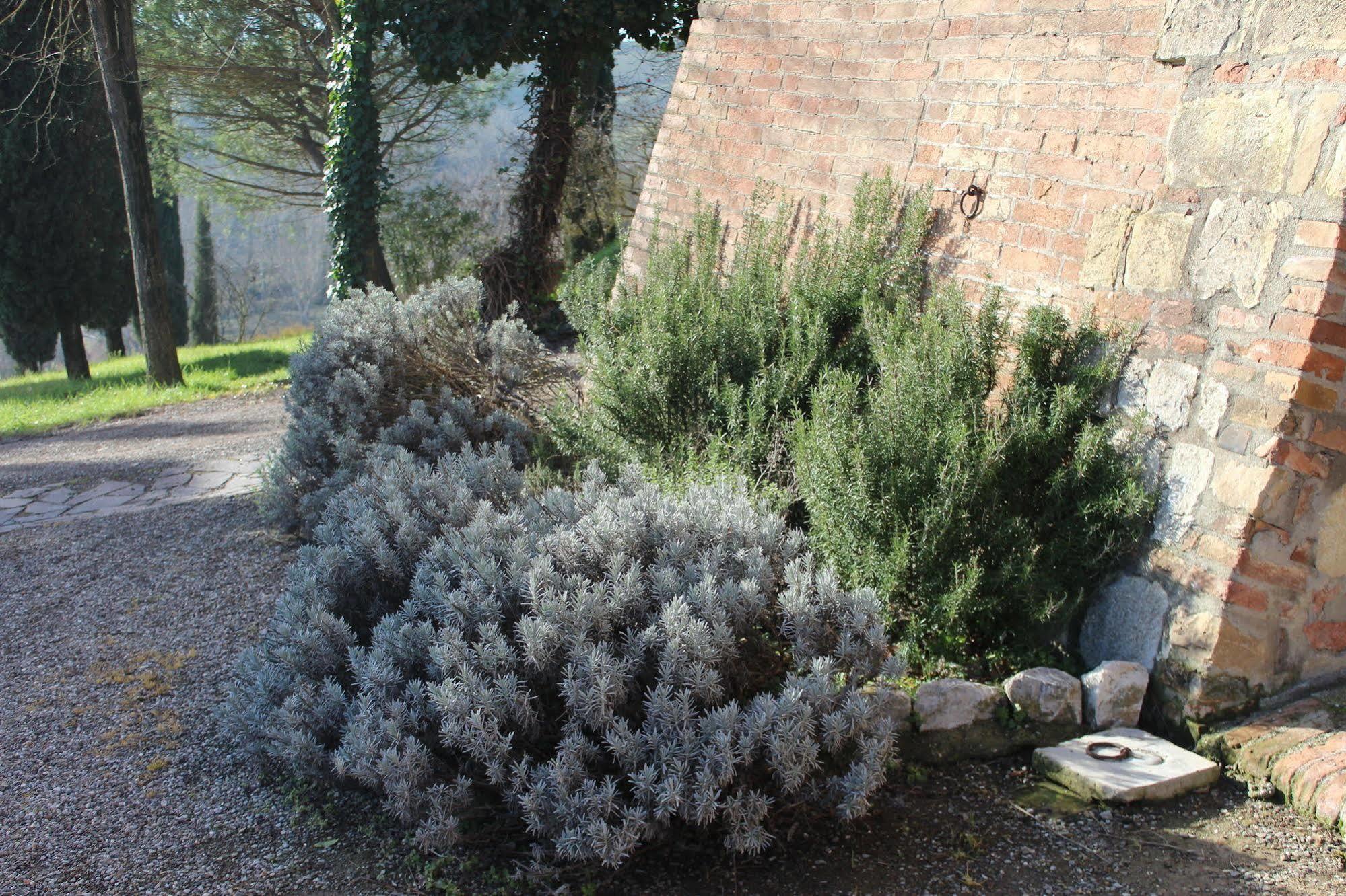 Agriturismo Castello Saltemnano 博恩孔文托 外观 照片